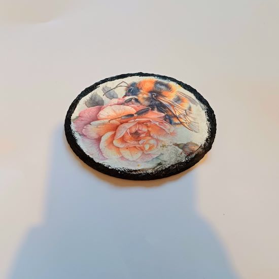 Coaster